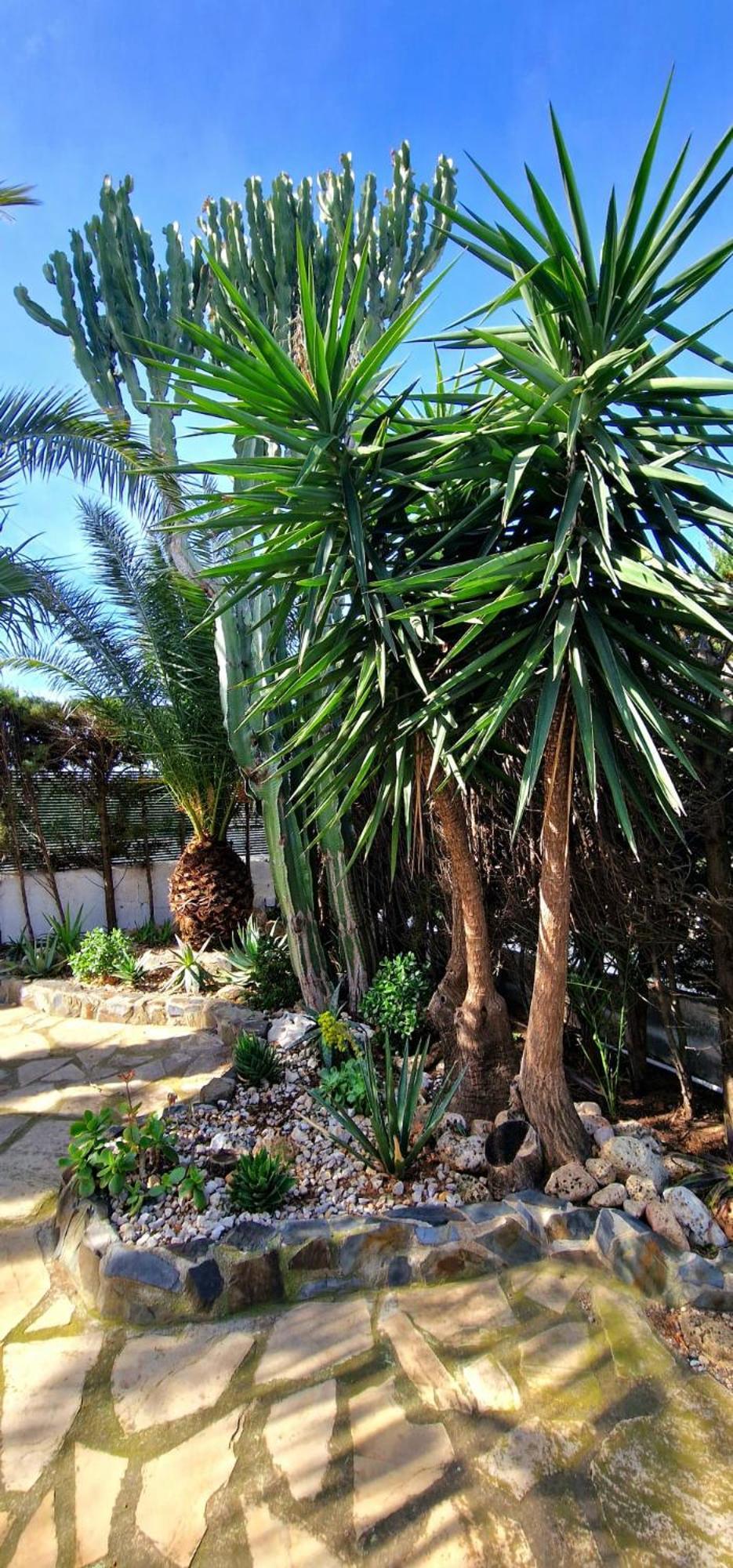 Villa Casa Buganvilla